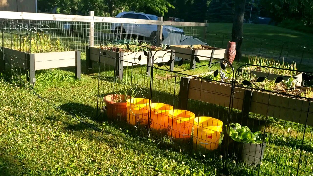 Welcome To Our Homestead Part 1