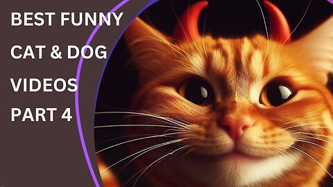 BEST FUNNY CAT & DOG VIDEOS PART 4