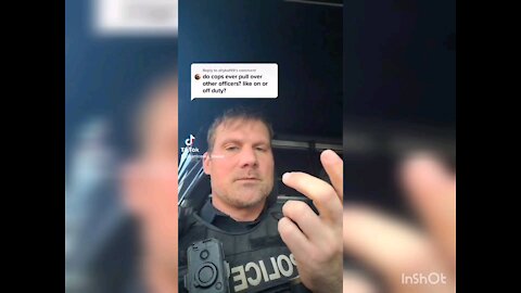 Cops Stopping Cops