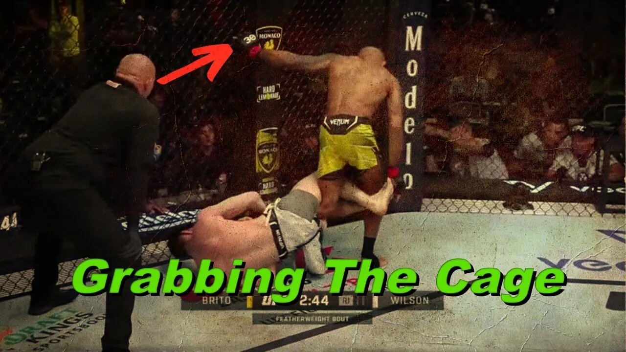 Did Grabbing The Cage Cost Westin Wilson The Fight?
