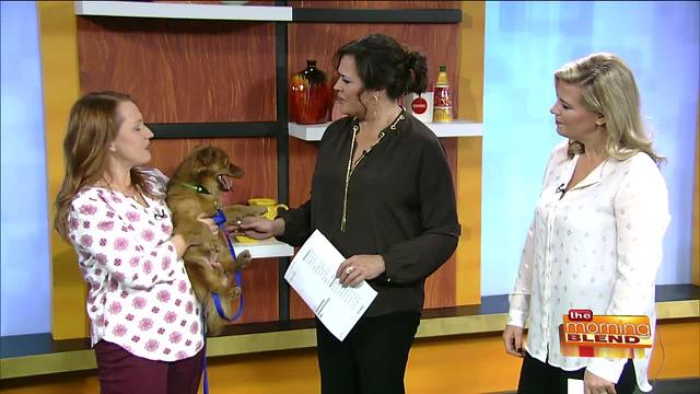 Getting Kids Up Close and Personal with Sled Dogs