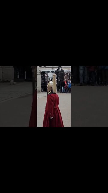 Left will quick March #horseguardsparade