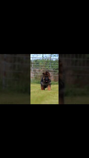 My baby & My papy (beautiful world) #shorts #youtube