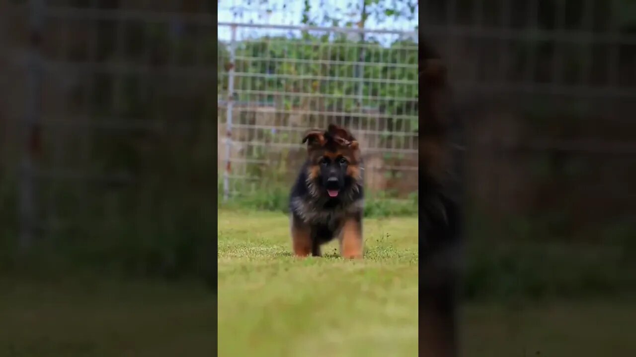 My baby & My papy (beautiful world) #shorts #youtube