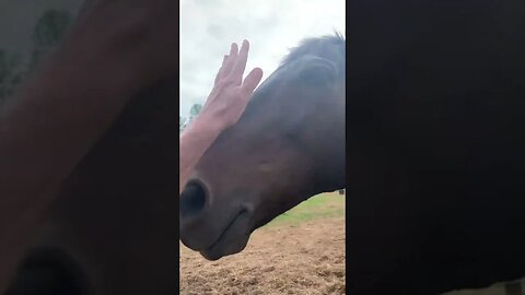 And more pony time