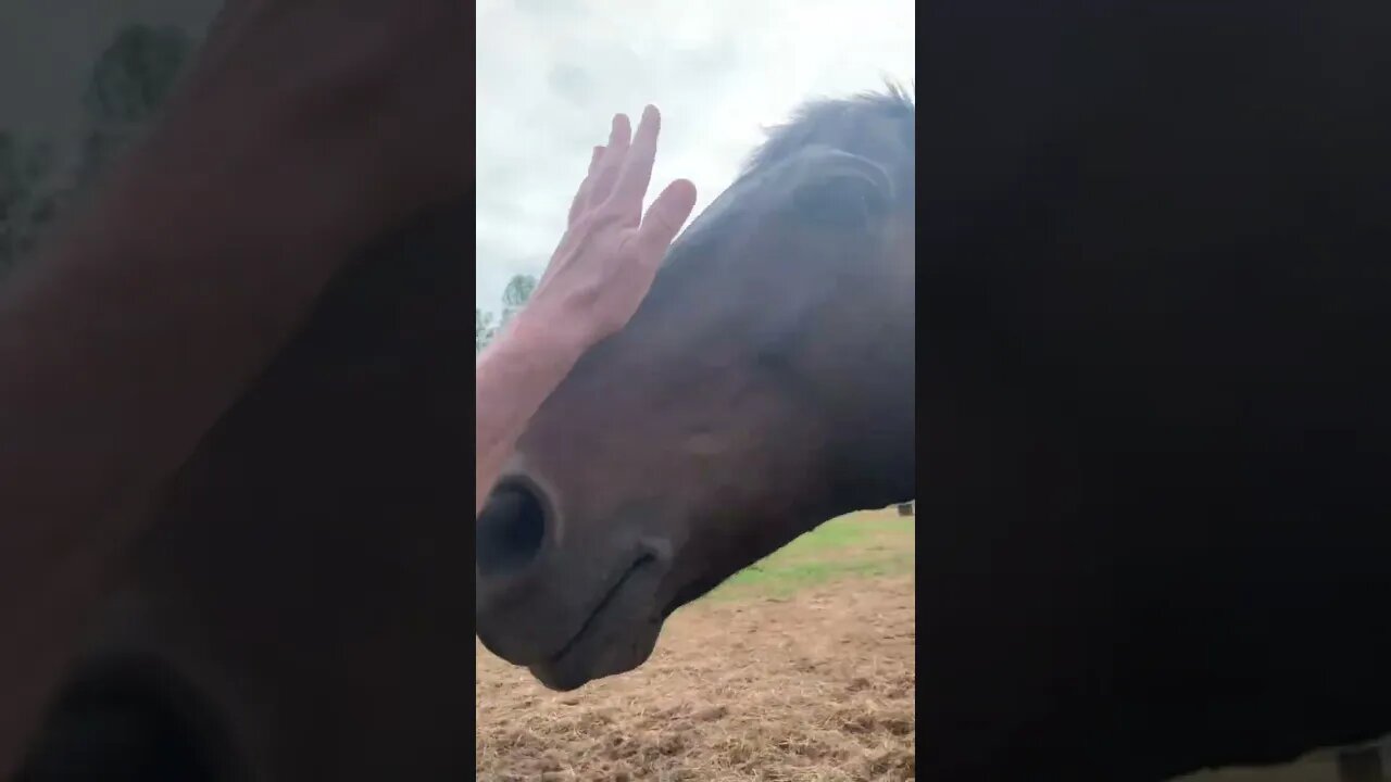 And more pony time