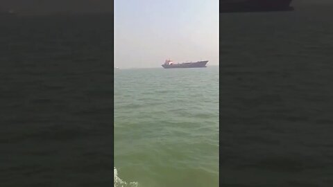 Maharashtra #mumbai #indianseafood #sea #india #ytshorts #instareels #fbreels #viralreels #viral