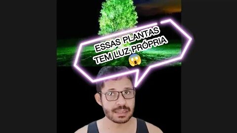 Plantas bioluminescentes , plantas LUMINOSAS