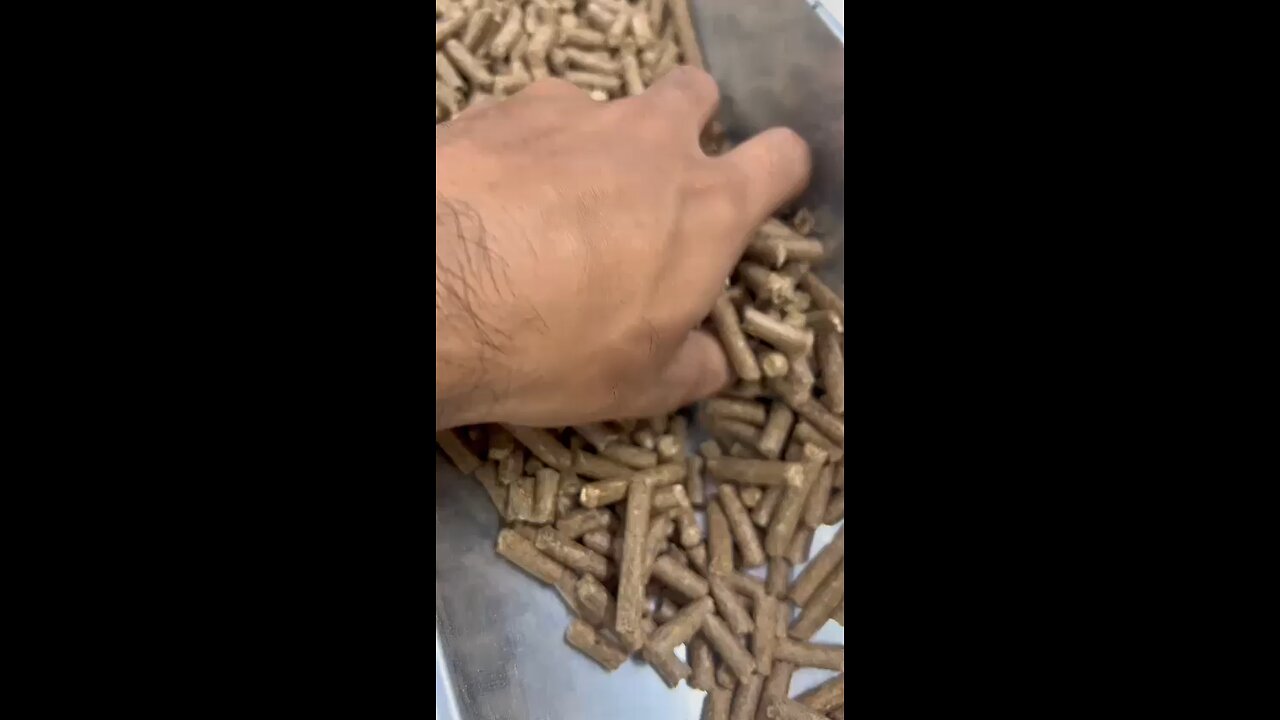 Cattel Feed pallets Foam