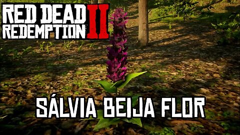 Localização da Sálvia Beija Flor RDR 2