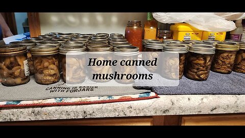 Home canned mushrooms #everybitcountschallenge