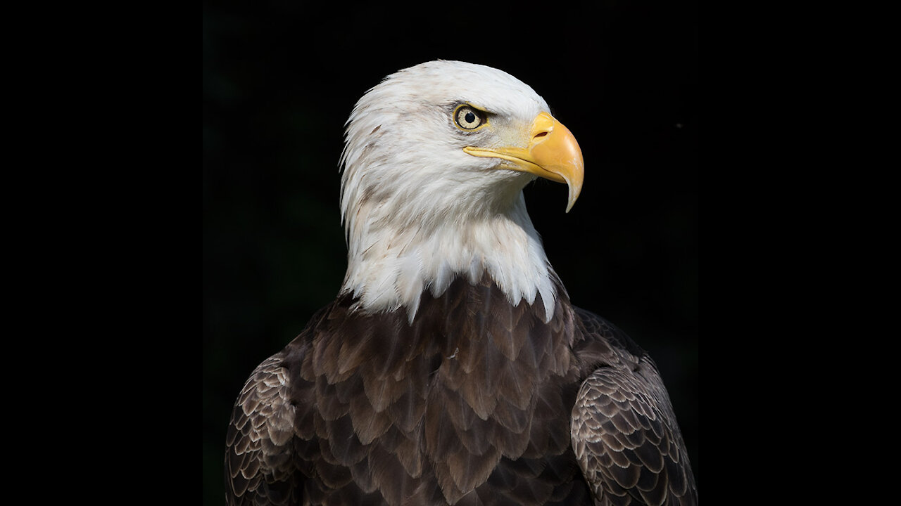 This Is Getting Ridiculous