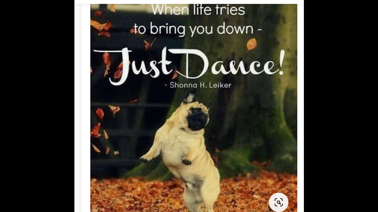 OH MY GOD'' See this dog dancing