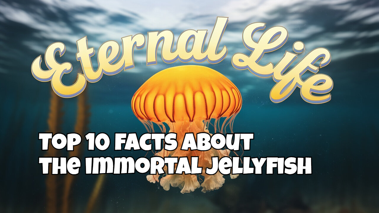Top 10 facts about the immortal jellyfish