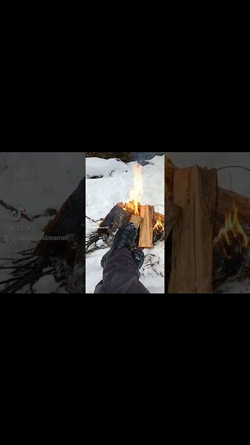 5 O'clock Somewhere. #shorts