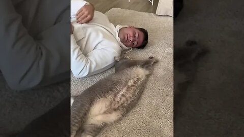 AM DAT GATA IMPREUNA OALA CU SARMALE #oguritamica #mancaciosul #mancare