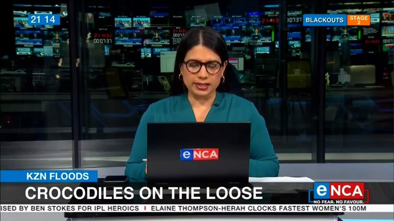 KZN Floods | Crocodiles on the loose in Durban