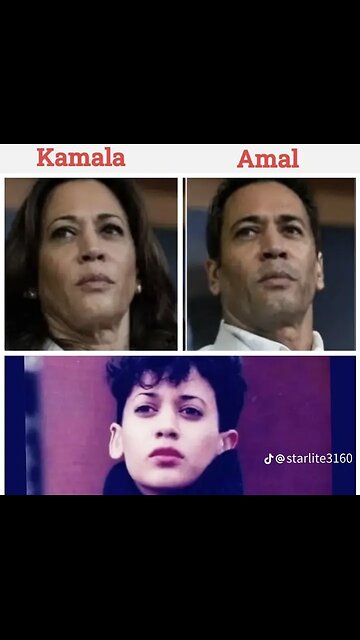 Comedian Rob Schneider Disassembling Kamala Harris Bullshit Personality