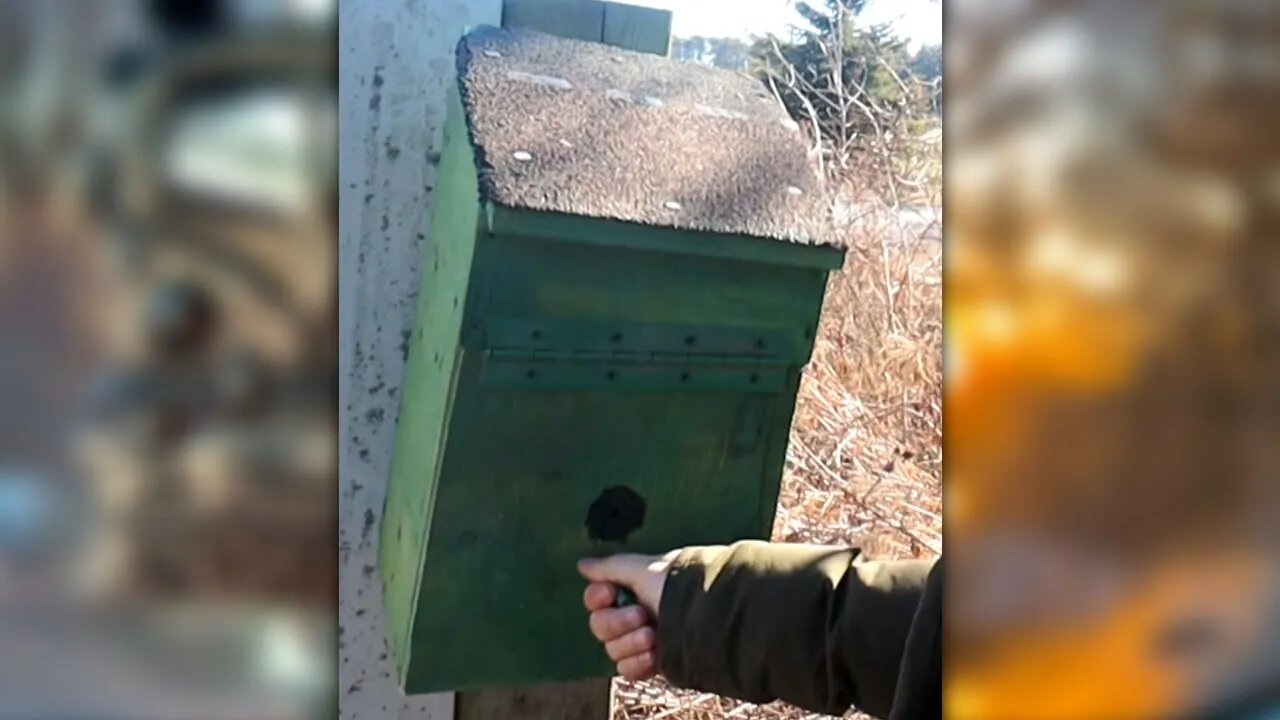 This ain't your GRANDMA'S BIRD HOUSE!