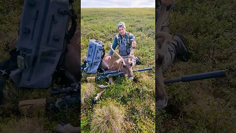 Caribou Hunting in Alaska!