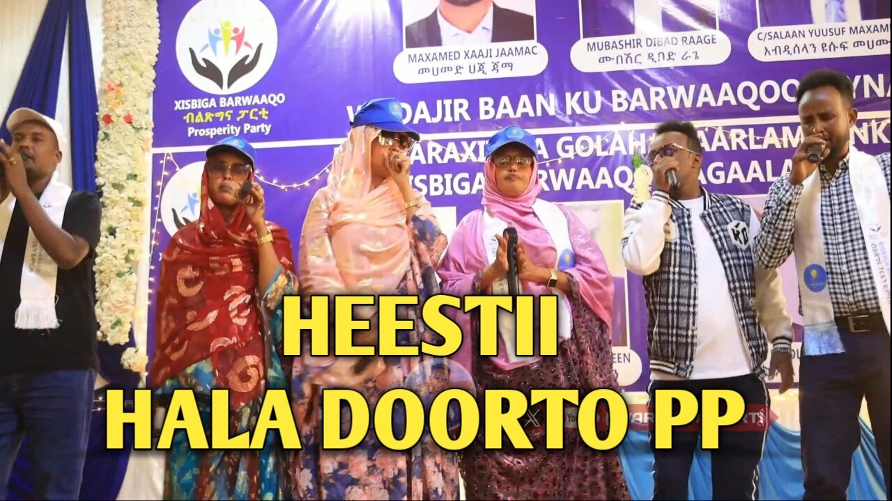 HEESTII HALA DOORTO PP | 2024