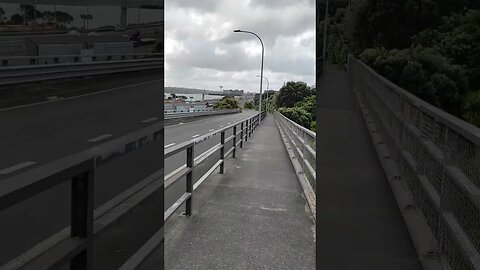 Overpass Shelly Beach Road