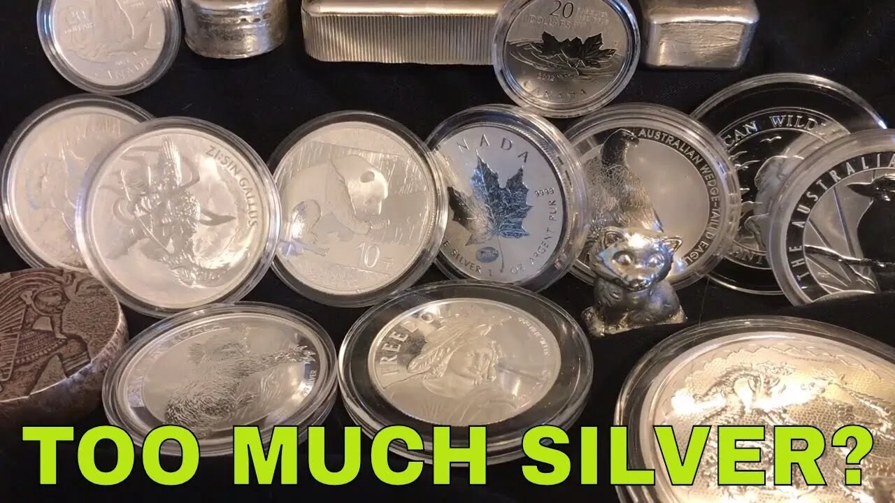 How Do You Know When You Have TOO MUCH Silver?