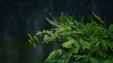 Som de Chuva - durma bem