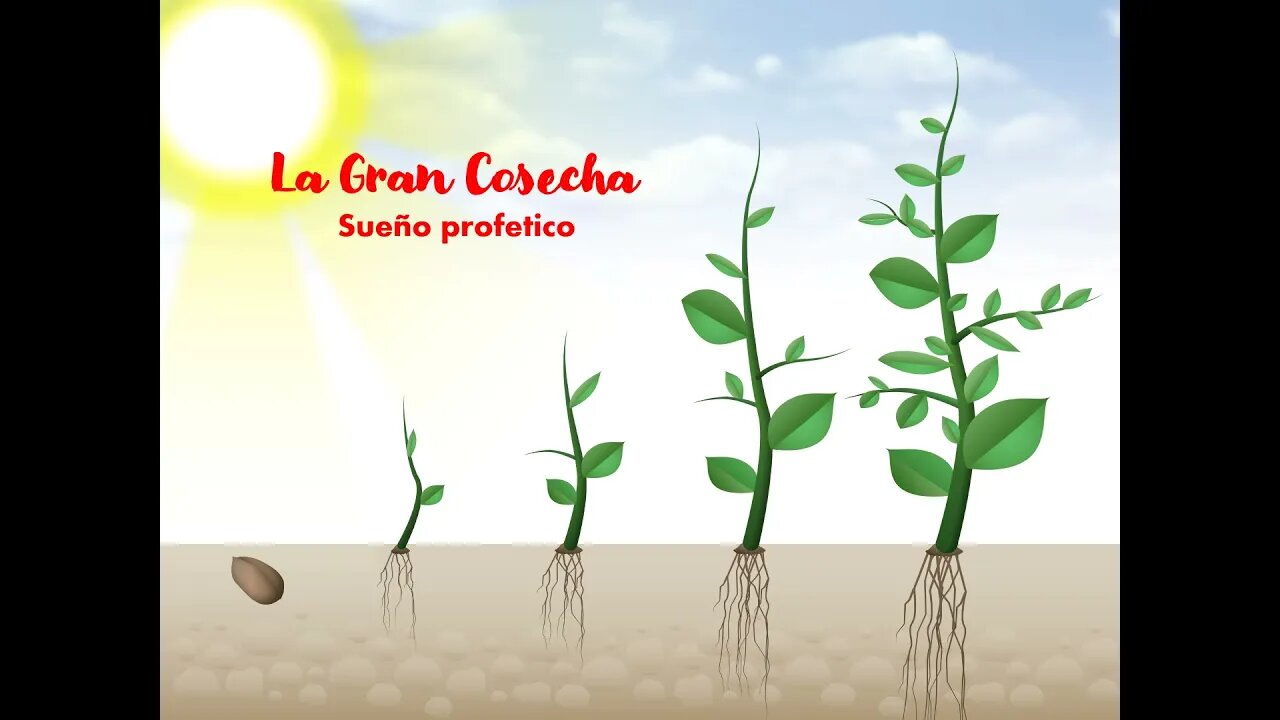 Sueño Profetico