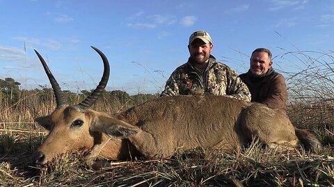 Hunting Reedbuck