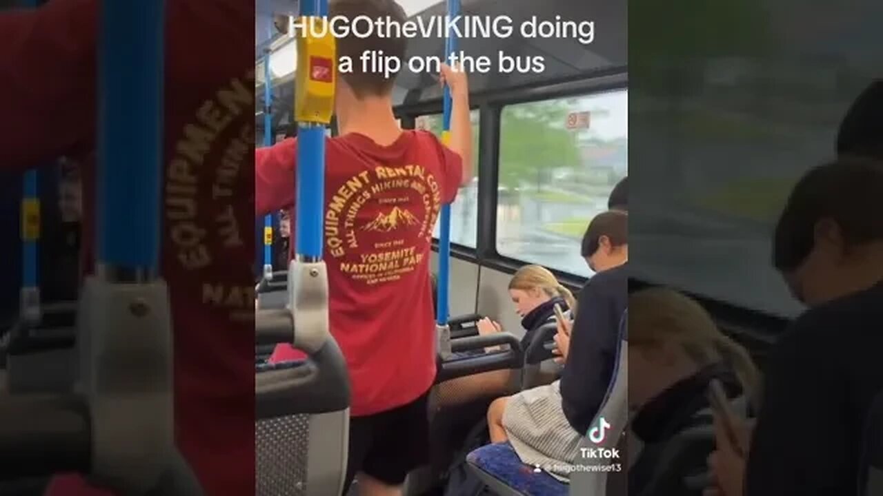 HUGOtheVIKING doing a flip on the bus #calisthenics #calisthenicsworkout #fypシ゚viral