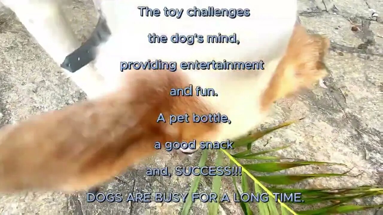 A simple pet bottle can save your day ! Check it out !