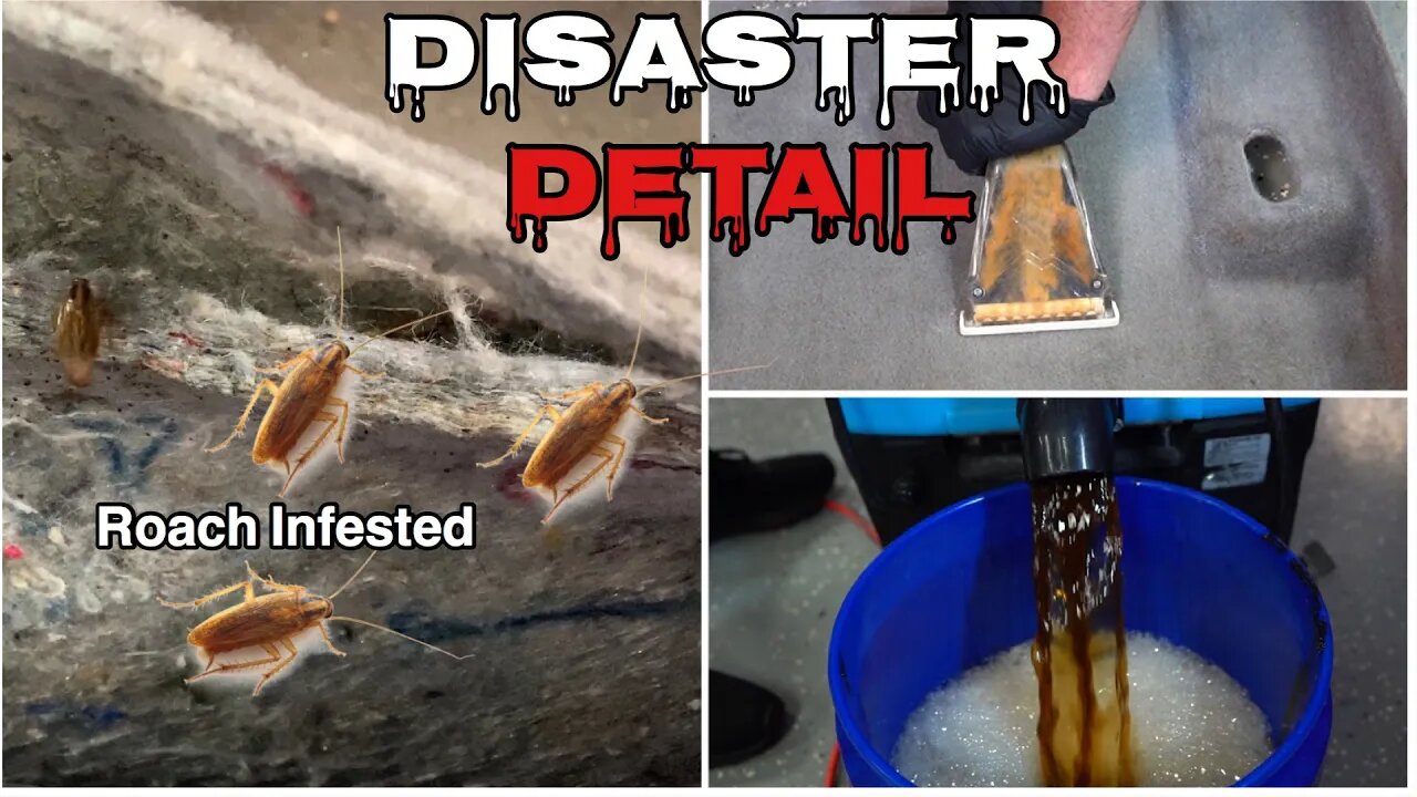 Deep Cleaning A ROACH Infested Nightmare | Extreme Interior Extraction| Insane Detail Transformation