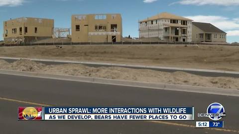 More interactions with wildlife expected as development expands into their habitat