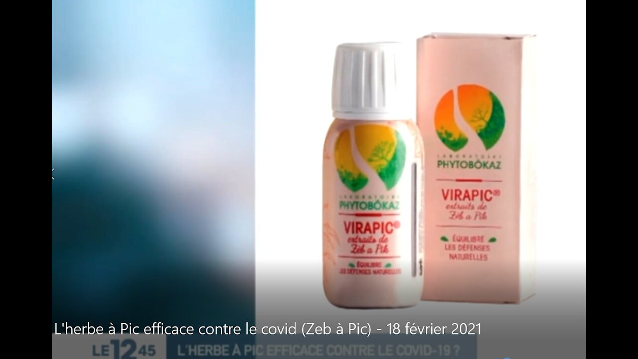 L'herbe à Pic efficace contre le covid (Zeb à Pic) - 18 février 2021