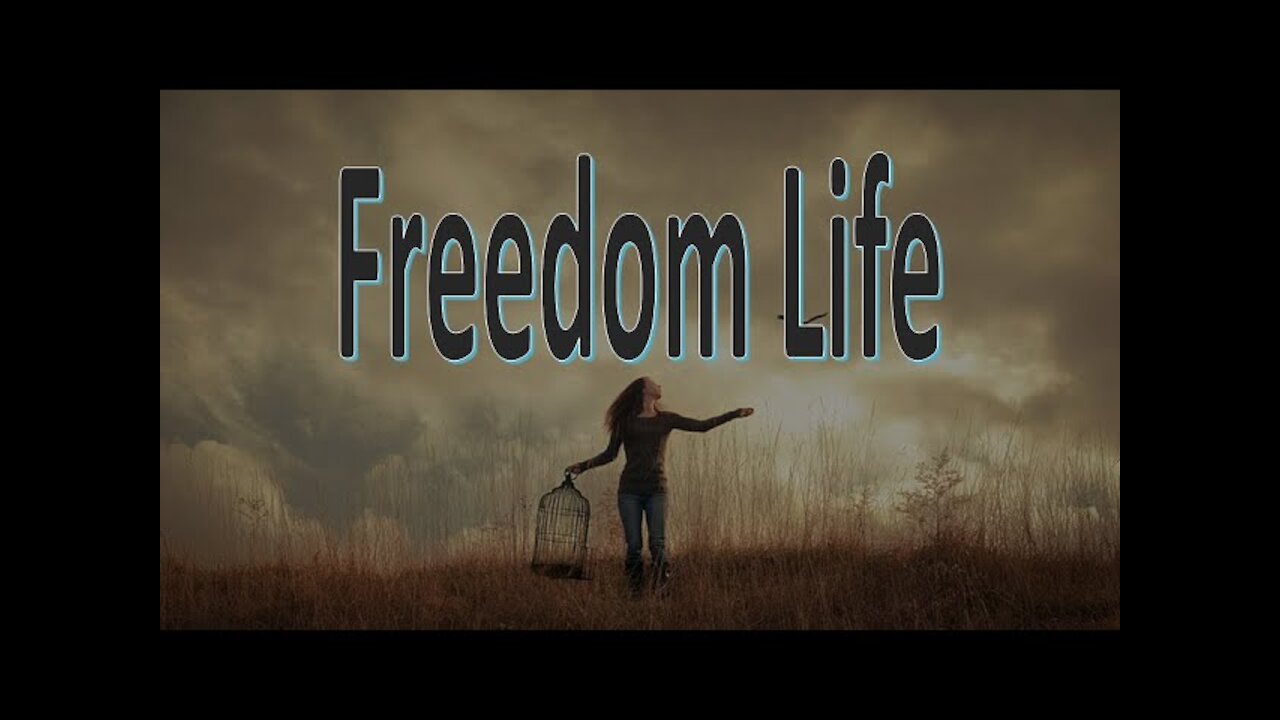 Freedom Life