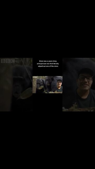 Are there Ape serial killers?