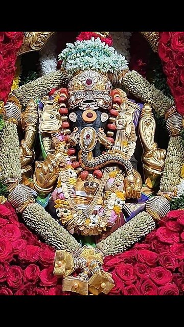 Jai Shree Krishna 🙏♥️