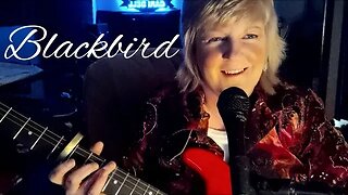 Blackbird-The Beatles live guitar cover by Cari Dell