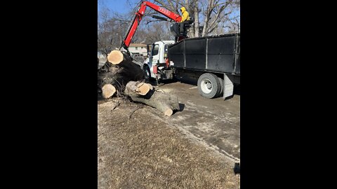 Tree Removal Omaha