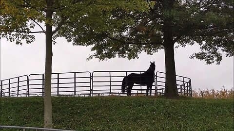 A Visit To My Amish Friends