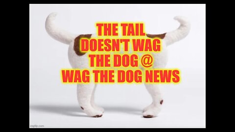 📰 Wag The Dog News 📰 New Intro 📰