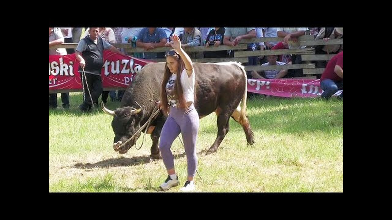 Dixon & Peran (Martina Batista) - korida Sladna Srebrenik