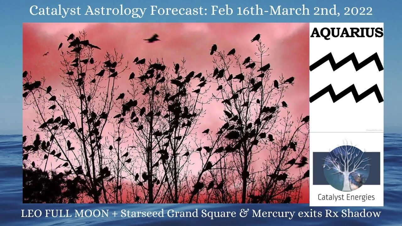 AQUARIUS - Catalyst Astrology Forecast - LEO FULL MOON + STARSEED GRAND SQUARE: Feb 16-March 2nd