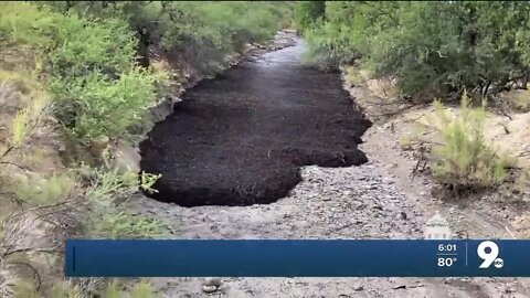 How badly did the Bighorn Fire balloon the flood risk?