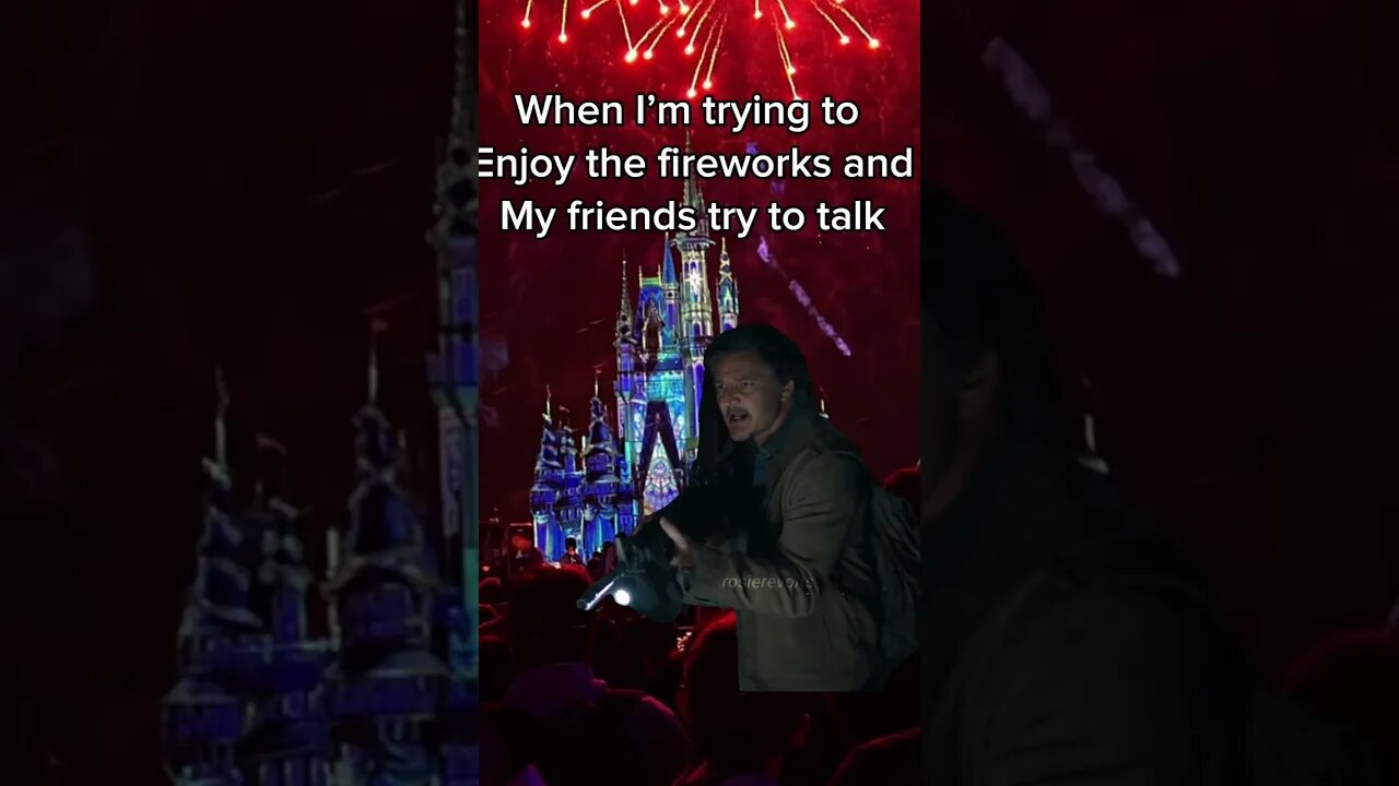 Shhhhhut upppp #disneyedit #fireworks #disneyworld