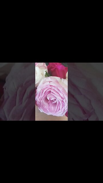 These were at the office