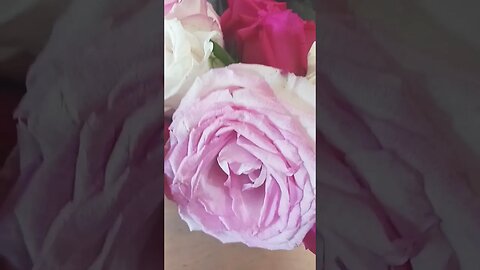 These were at the office