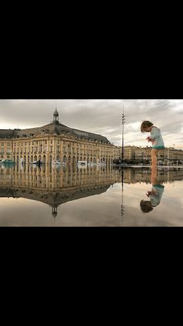 Puddle Providing The Best Reflection