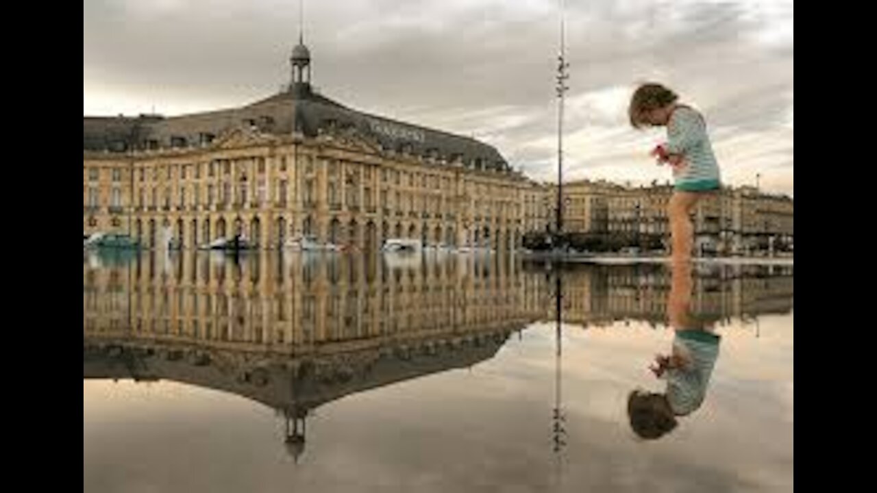 Puddle Providing The Best Reflection